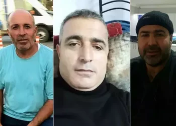 Eski muhtar 3 kardeşi peş peşe katletti