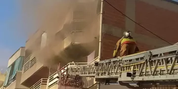 Evde yangın çıktı, 4 kedi yanarak telef oldu (1)