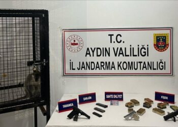 Evden cephanelik ve maymun çıktı