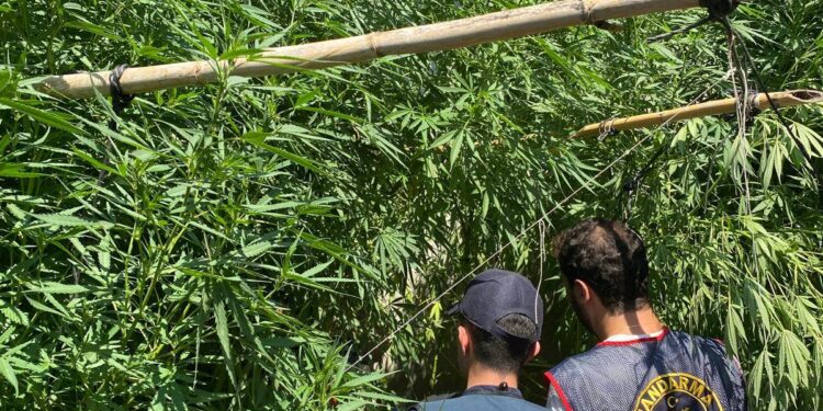 Evinde uyuşturucuyla yakalandı (1)