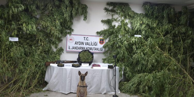 Koçarlı'da evden 5 kilogram uyuşturucu çıktı