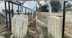 Aydın’ın Söke İlçesinde jandarma ekiplerinin bir eve yaptığı operasyonda Helenistik