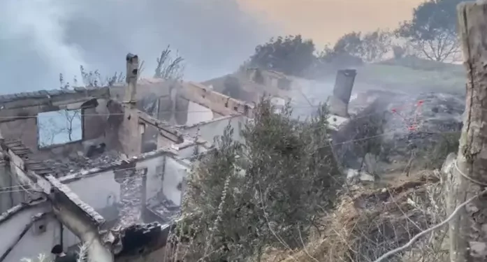 Evlere sıçrayan orman yangını can aldı