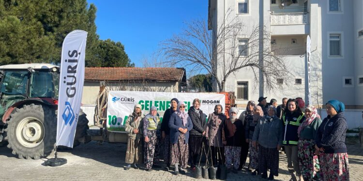 Aydınlı çiftçilere 1300 incir fidanı desteği