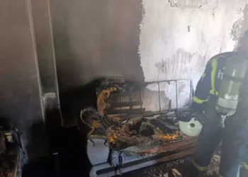 Germencik’te ev yangını 5 kişi dumandan etkilendi
