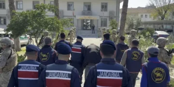Germencik’te odunla öldürülen annenin cinayetinde sır perdesi aralanıyor