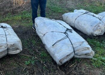 Sera naylonu hırsızlığına 1 tutuklama