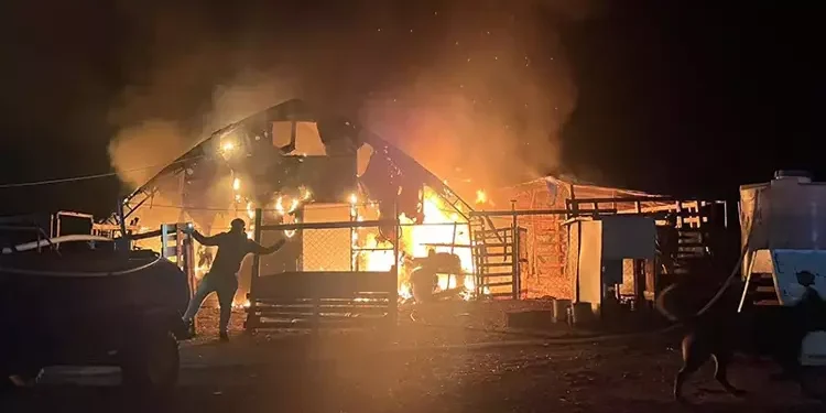 Hayvan çiftliğinde yangın 580 hayvan öldü