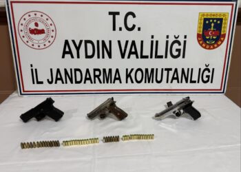 Hayvan hırsızının evinden ruhsatsız silah çıktı