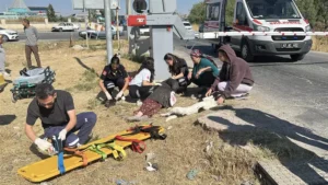 Hemzemin geçitte yük treni çarptı Hemzemin geçitte yük treni çarptı