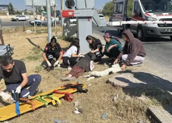 Hemzemin geçitte yük treni çarptı