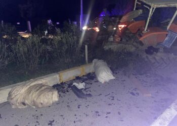 Traktörle otomobil çarpıştı, zeytinler yola savruldu