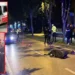 İki kardeş, aynı acı son Motosiklet kazaları aileyi yıktı