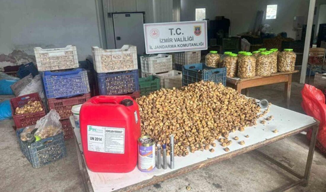 İncir diye satacaklardı: Depodan 3 ton kimyasallı ürün çıktı İzmir'in Ödemiş ilçesinde jandarma ekiplerinin bir depoya düzenlediği operasyonda, hidrojen