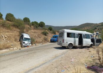 İncir işçilerini taşıyan minibüs kaza yaptı 8 yaralı (3)