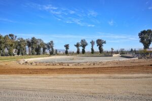 İncirliova, yılın ilk deve güreşine hazırlanıyor (1) İncirliova, yılın ilk deve güreşine hazırlanıyor (1)