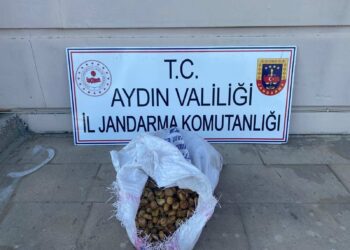 İncirliova’da 50 kilo incir hırsızlığı 3 şüpheli yakalandı