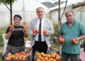 İncirliova’da Çiftçiler Günü’ne yerli domates damgası (1)