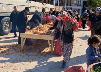 İncirliova’da TIR dolusu soğanı ücretsiz dağıttı (3)