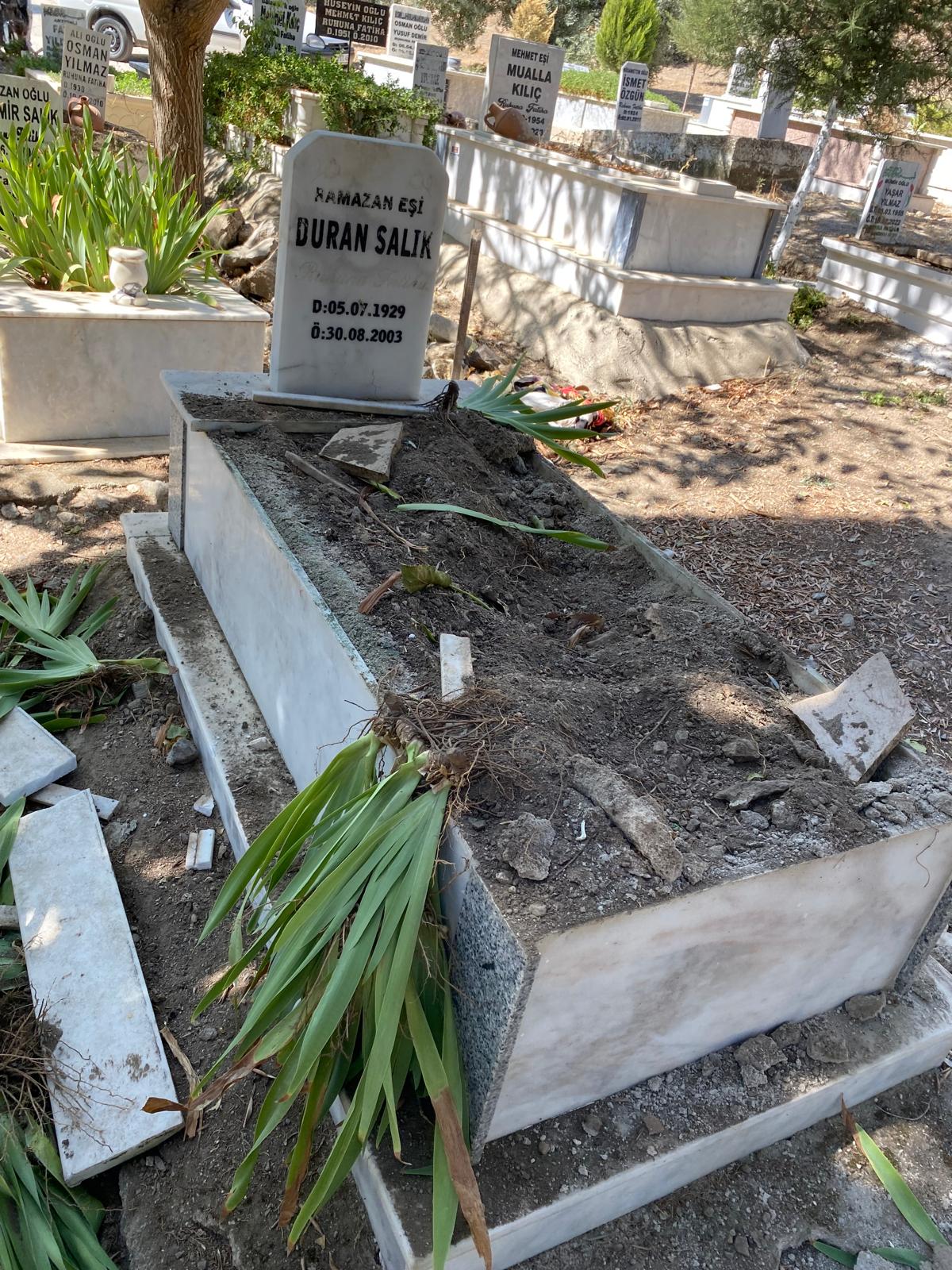 Incirliova’da domuz suruleri mezarligi talan etti (1) Incirliova’da domuz suruleri mezarligi talan etti (1)