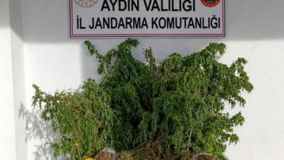 İncirliova’da evden 3 kilo esrar çıktı Aydın’ın İncirliova ilçesinde jandarma ekiplerinin bir eve düzenlediği operasyonda 3