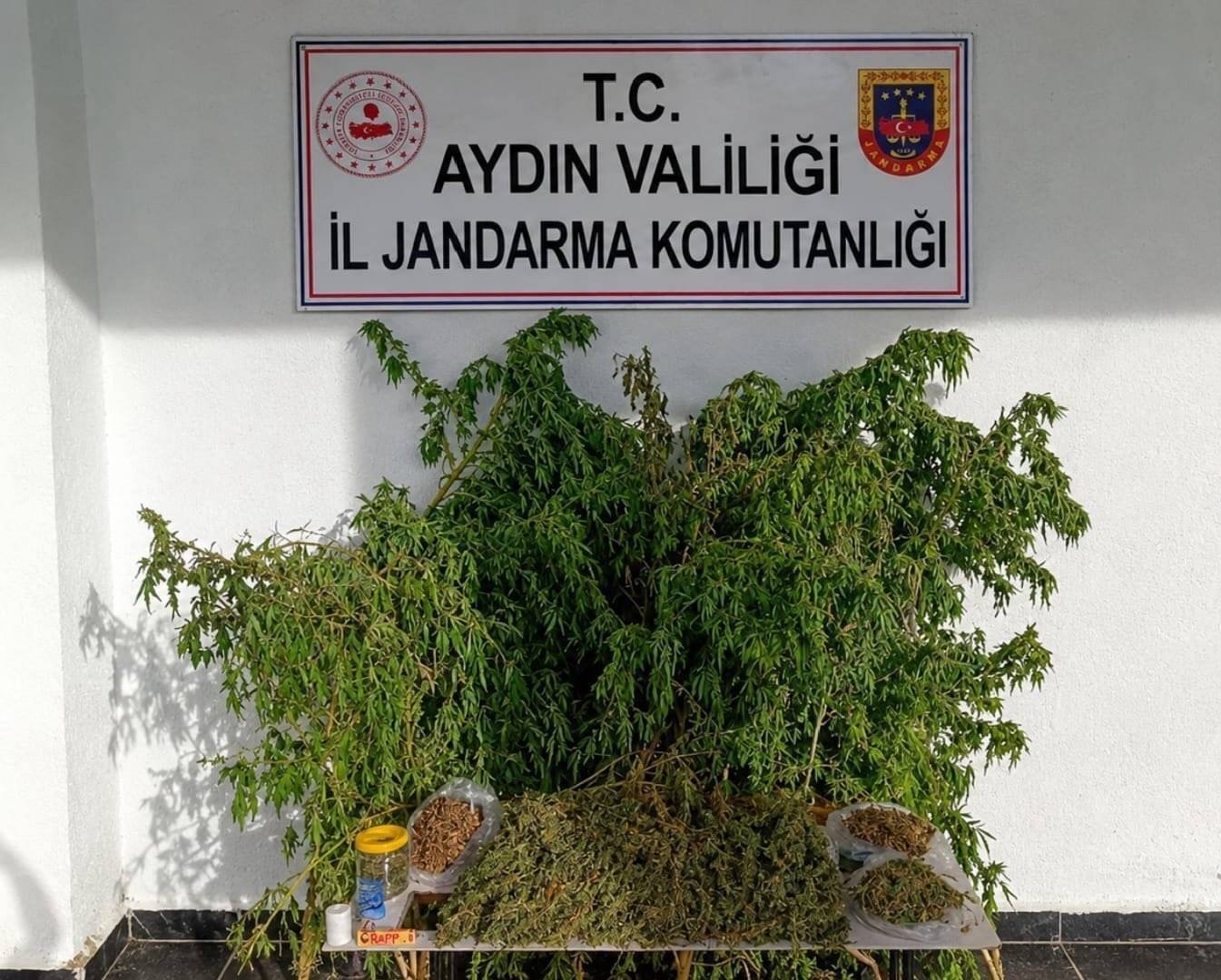 Incirliova’da evden 3 kilo esrar cikti Incirliova’da evden 3 kilo esrar cikti