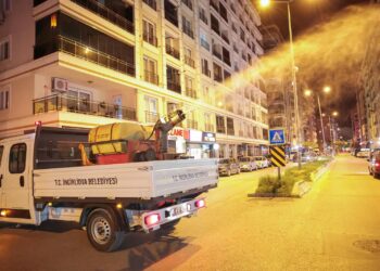 İncirliova’da haşereyle savaş başladı (2)