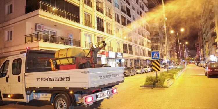 İncirliova’da haşereyle savaş başladı (2)