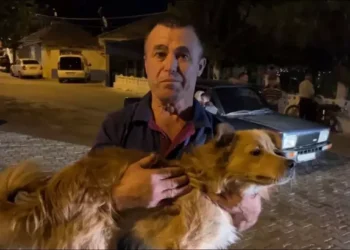 İncirliova’da kaybolan yaşlı kadını sadık dostu köpeği buldu