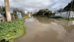 İncirliova'da sağanak nedeniyle yollar göle döndü (1)