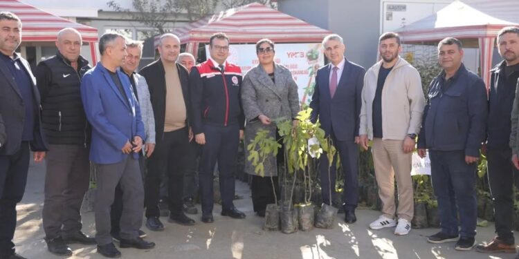 İncirliova’da sertifikalı fidan desteği üreticiyle buluştu (1)