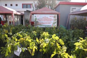 İncirliova’da sertifikalı fidan desteği üreticiyle buluştu (3)