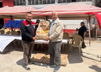 İncirliova’da tarlalar ayçiçeğiyle şenlenecek (3)