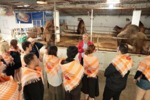 İncirliova’da üniversite öğrencileri deveye hayran kaldı (3)