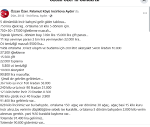 İncirliovalı incir üreticisinin paylaşımı gündem oldu İncirliovalı incir üreticisinin paylaşımı gündem oldu