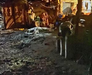 İnek sağarken elektrik akımına kapılan kadın öldü