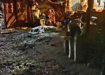 İnek sağarken elektrik akımına kapılan kadın öldü