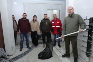 Aydın’ın İncirliova İlçesinde bir inşaat alanında bulunan ve dünyada nesli