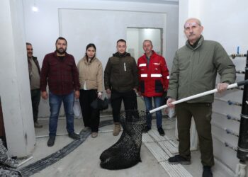 İnşaatta yakalanan oklu kirpi doğal alana salındı (1)