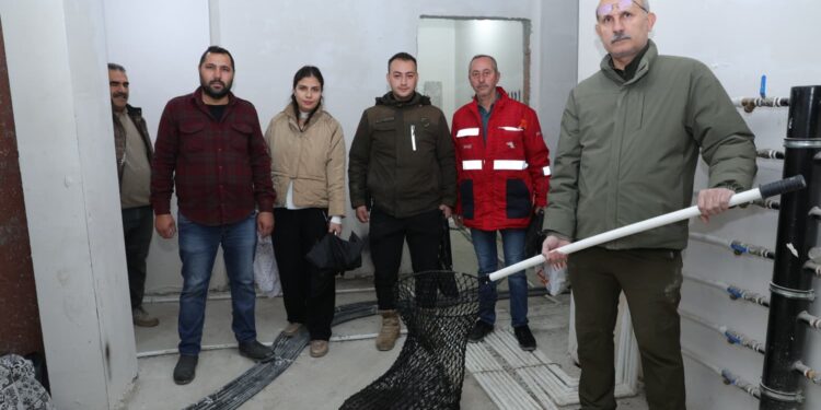 İnşaatta yakalanan oklu kirpi doğal alana salındı (1)