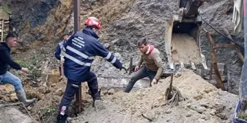 İstinat duvarı çöktü altında kalan koyunlar öldü