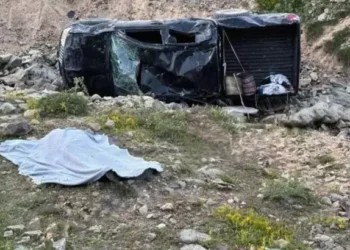 Kamyonet şarampole devrildi 1 ölü, 5 yaralı