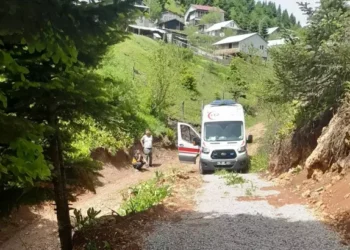 Kamyonet şarampole yuvarlandı sürücü öldü