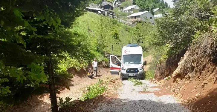 Kamyonet şarampole yuvarlandı sürücü öldü