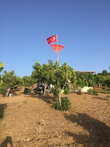 Karagözler’de 14 ev elektriğe kavuşuyor