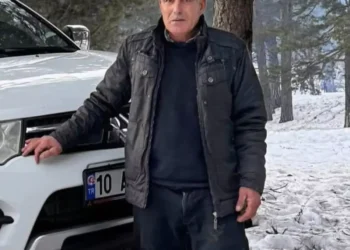 Kavak ağacının altında kalıp hayatını kaybetti
