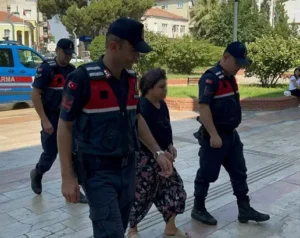 Kayınpederiyle tartışıp, araziyi ateşe vermiş