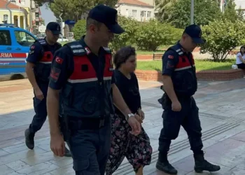 Kayınpederiyle tartışıp, araziyi ateşe vermiş