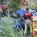 Kazada yaralanan Asel, hayatını kaybetti