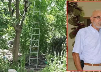 Kiraz ağacından düşüp öldü